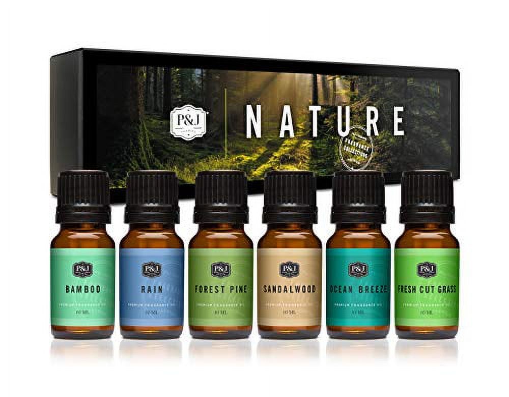 Nature Set of 6 Premium Grade Fragrance Oils - Forest Pine, Ocean Breeze,  Rain, Fresh Cut Grass, Sandalwood, Bamboo - 10ml 
